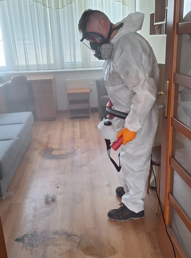 Dezynsekcja pomieszczenia