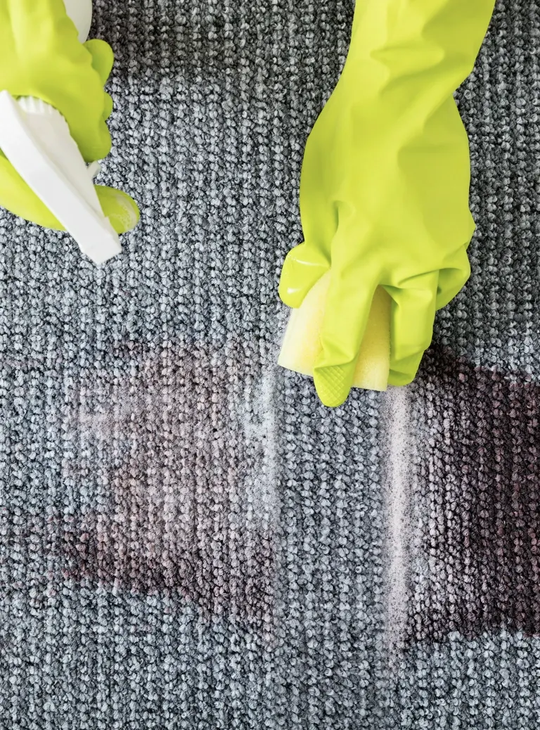 usuwanie plamy z&nbsp;krwi